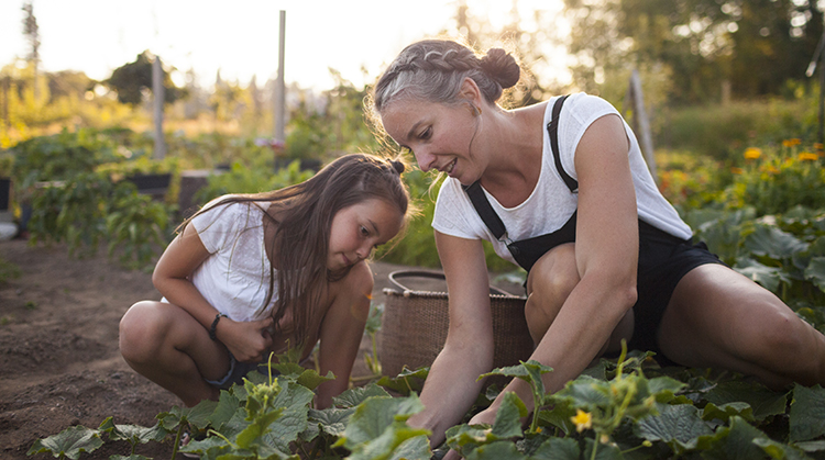 Gardening_750x419.jpg